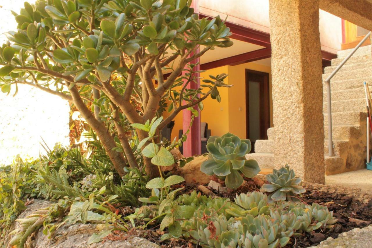 Casa De Jose Villa Cabeceiras de Basto Exterior photo